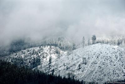 Hills, snow and fog