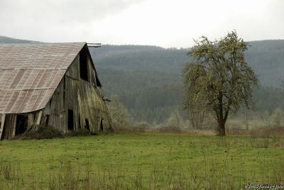 Dilapidated old barn #2