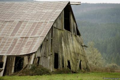Dilapidated old barn #3