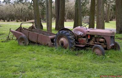 Old Ford tractor #2