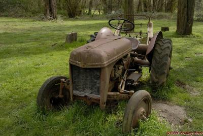 Old Ford tractor #4