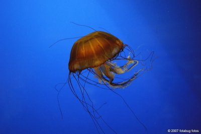 D2x2007-11-05_177.jpg