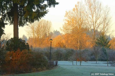 Alton Baker Park on a frosty morning