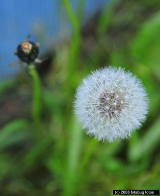 D3_042808_024.jpg