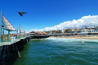 Redondo Beach, a place filled of sunshine, spray, sea gull and delicious seafood