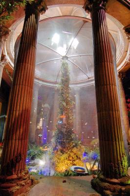 The buttfly temple in Bellagio