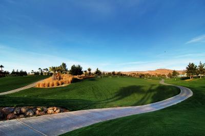 The golf course in the desert