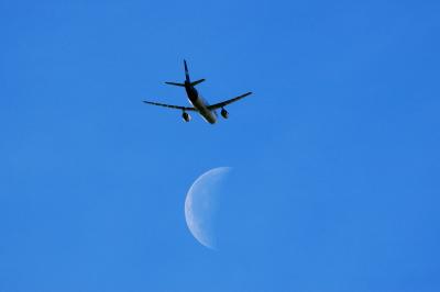 Fly me to the moon!