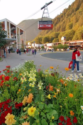 Pretty flowers
See the place