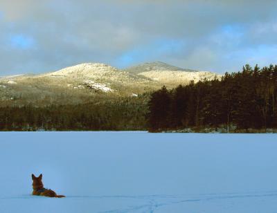 g3/66/493066/3/54585330.dogmtn750_Image132.jpg