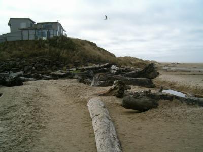 Haceta Beach, Florence, OR