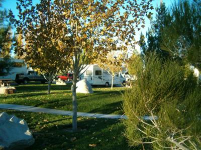Lurchie parked at Terrible's RV Park