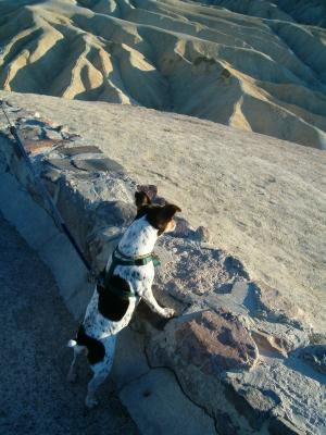 Daphne on the Brink