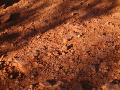 Rich Red Earth everywhere.JPG