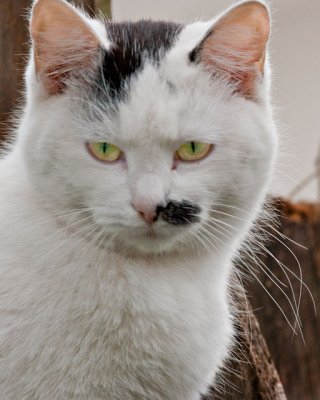 Charlie