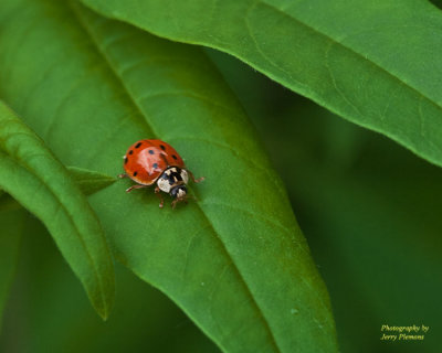 g3/66/537866/3/123830661.pUw04x6l.jpg