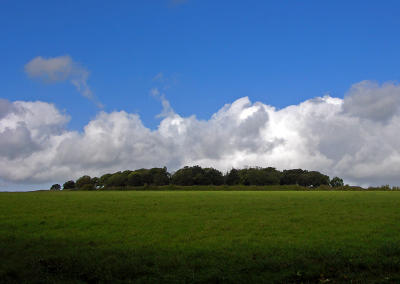 g3/66/584766/3/51065270.brdistant.jpg