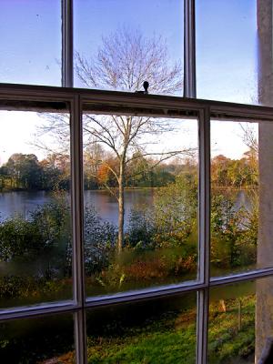 Through the window