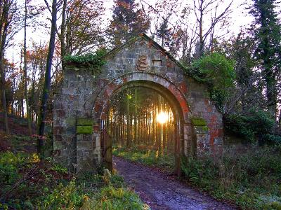 Falling arch