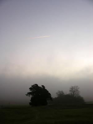Flying away...