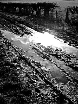 Muddy puddle