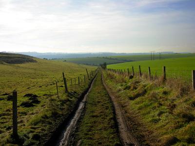 Bridleway