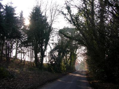 Catherine Ford Lane...