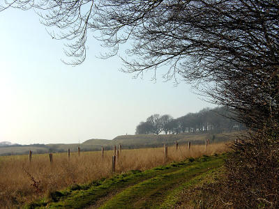 From High Wood