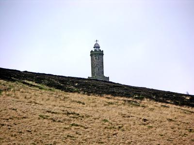 g3/66/584766/3/56473353.8717.jpg