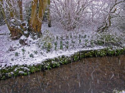 Snow motion