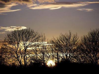 Backlit