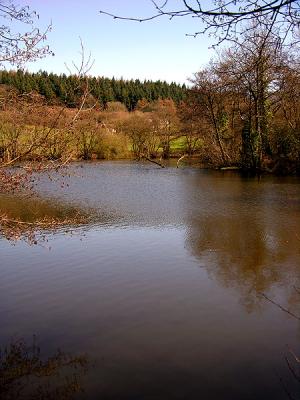 Pale Park Pond (II)