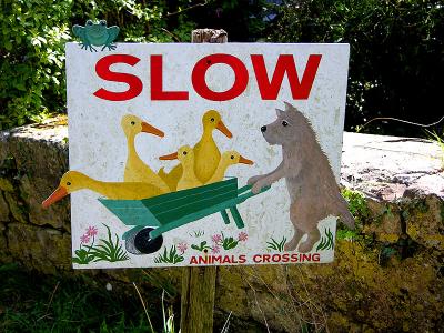 Animals crossing