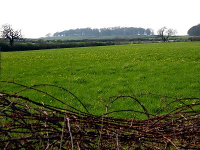 From Lodge Farm...