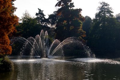 Palm House and vistas