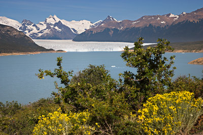 08-01 Perito Moreno Glacier 01.JPG