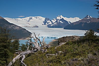 08-01 Perito Moreno Glacier 04.JPG