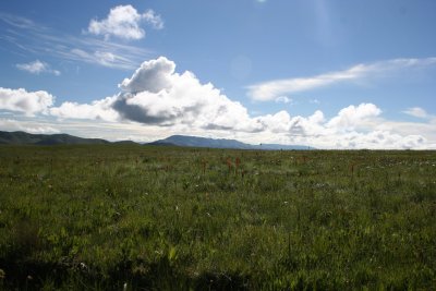 Kitulo National Park - Grassland landscap.JPG