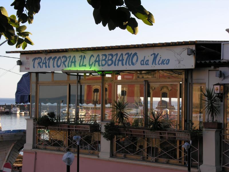 Best Fish in Town