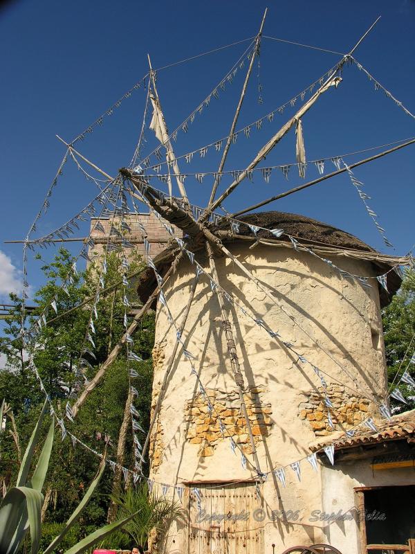 DSCN1286.jpg
