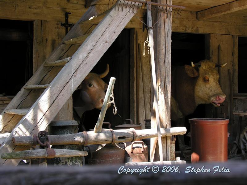 DSCN1191.jpg