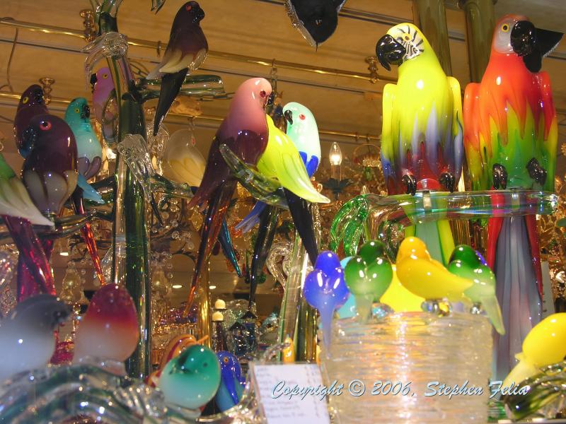 DSCN4575.jpg