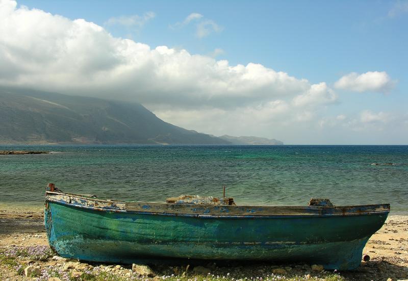DSCN0156.jpg