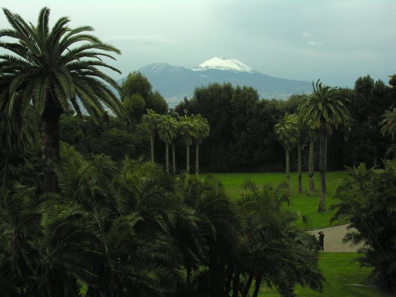 DSCN5062.jpg