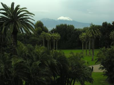 DSCN5062.jpg