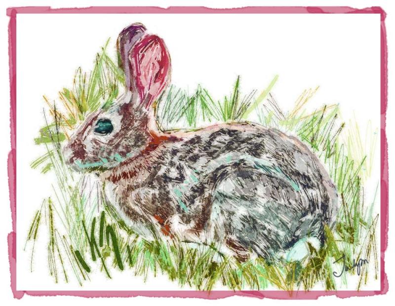 bunny
