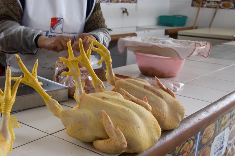 Chicken