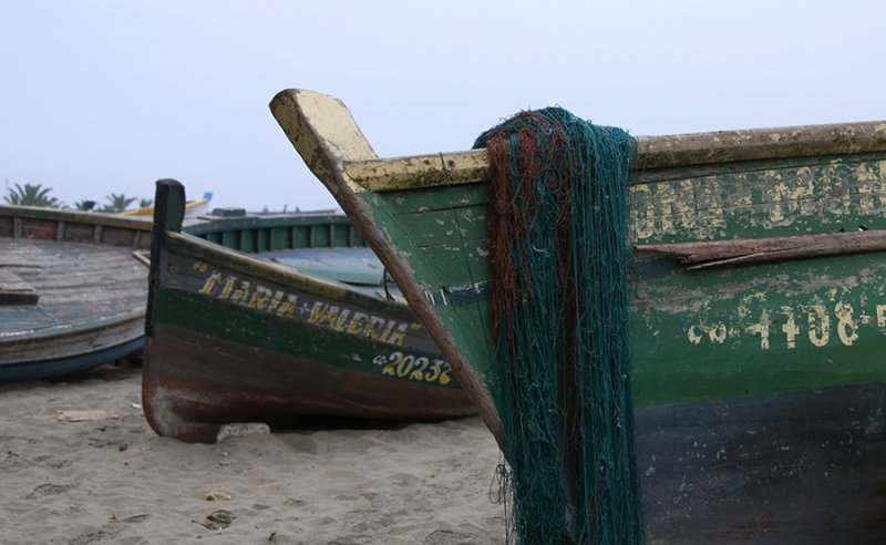 Fishing Boats