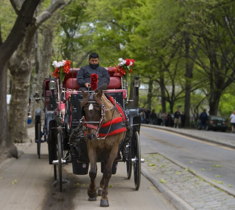 Manhattan Handsome Ride