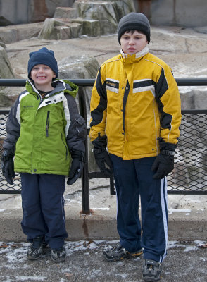 Brothers at the Zoo